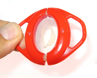 Illustration for article titled 10 Gadgets You Need For Global Orgasm 2007